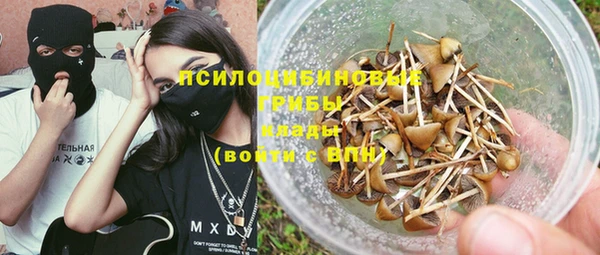 PSILOCYBIN Беломорск