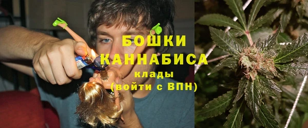 PSILOCYBIN Беломорск